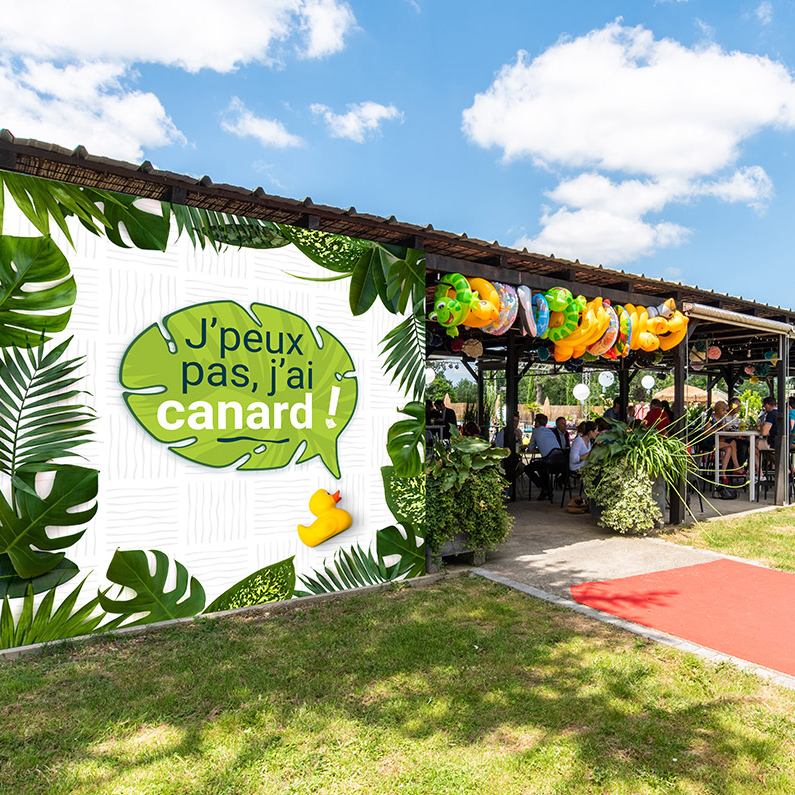 canardsurletoit-piscine